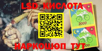 гидра Кандалакша