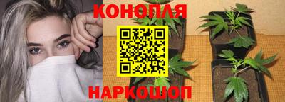 гидра Кандалакша